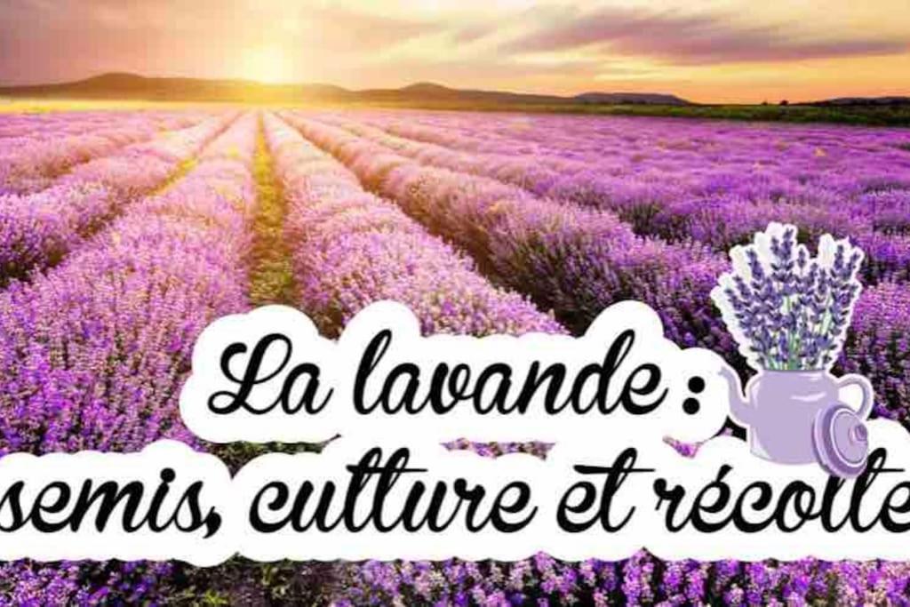 Gite De Charme Le Val Mellis Classe 3 Etoiles Dans La Douceur Provencale Vaumeilh 外观 照片
